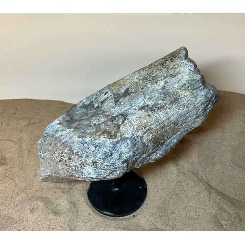 5028 - A Jurassic Period Camarasaurus vertebrae section on stand, sculptural form, Morrison Formation, Wyom... 