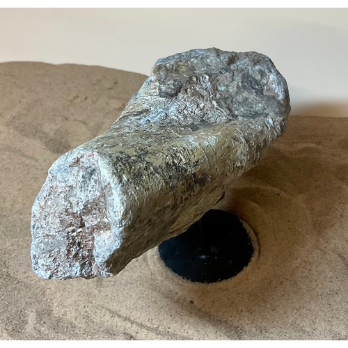 5028 - A Jurassic Period Camarasaurus vertebrae section on stand, sculptural form, Morrison Formation, Wyom... 