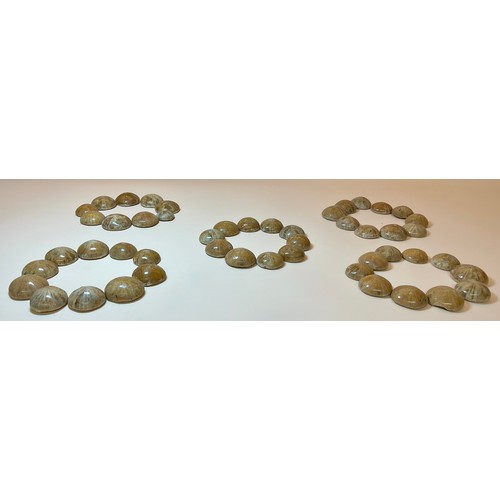 5056 - Cretaceous Period (100 million years B.P) forty nine highly polished fossil sea urchin (Echinoid) sp... 