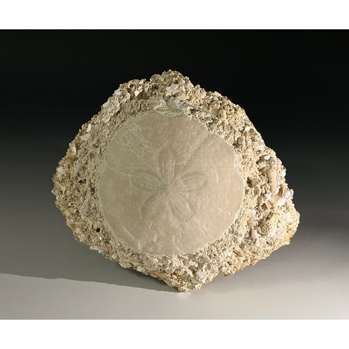Lot 5040      