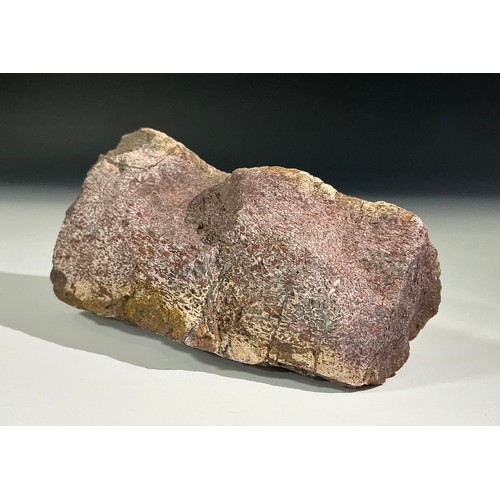 5025 - A Jurassic Period Allosaurus dinosaur fossil rib section, Morrison Formation, Wyoming, USA, 199-145 ... 