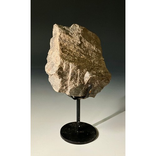 5026 - A Jurassic Period Camarasaurus vertebrae section on stand, Morrison Formation, Wyoming, USA, 199-145... 