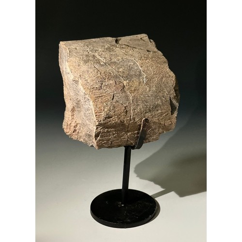 5026 - A Jurassic Period Camarasaurus vertebrae section on stand, Morrison Formation, Wyoming, USA, 199-145... 