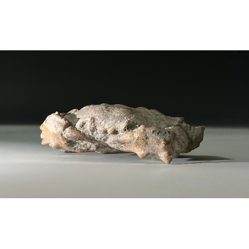 Lot 5017      