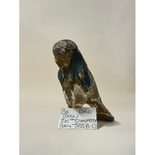 Lot 5049      