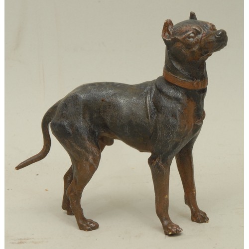 Lot 6028      