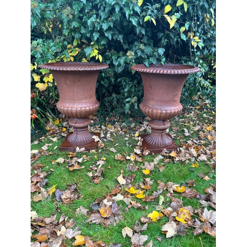 4024 - A large pair of charming and decorative cast iron campana urns, in natural rust finish, with a conti... 