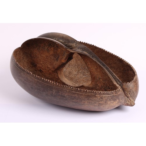38 - Natural History - a 19th century coco de mer (lodoicea), cut as a hand basket, 33cm long