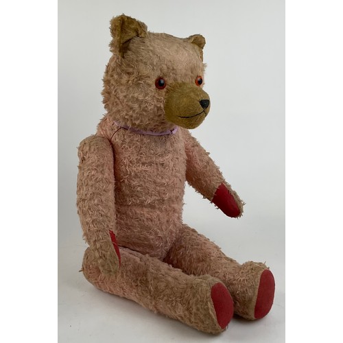 3046 - A large early 20th century pink mohair Teddy bear, amber eyes, pronounced muzzle with stitched nose ... 