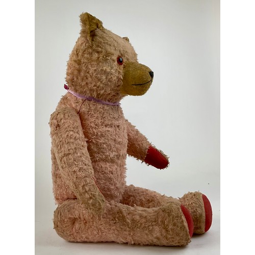 3046 - A large early 20th century pink mohair Teddy bear, amber eyes, pronounced muzzle with stitched nose ... 