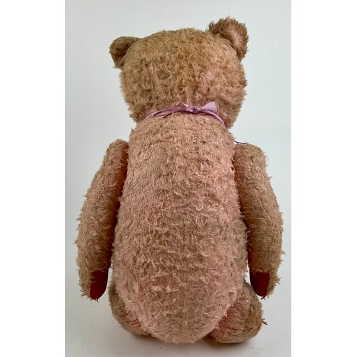 3046 - A large early 20th century pink mohair Teddy bear, amber eyes, pronounced muzzle with stitched nose ... 