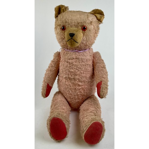 3046 - A large early 20th century pink mohair Teddy bear, amber eyes, pronounced muzzle with stitched nose ... 