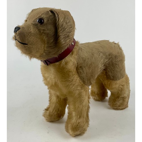 3047 - A large 1950’s freestanding mohair Terrier, dark amber eyes, celluloid nose with stitched mouth, sta... 
