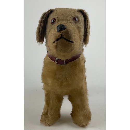 3047 - A large 1950’s freestanding mohair Terrier, dark amber eyes, celluloid nose with stitched mouth, sta... 