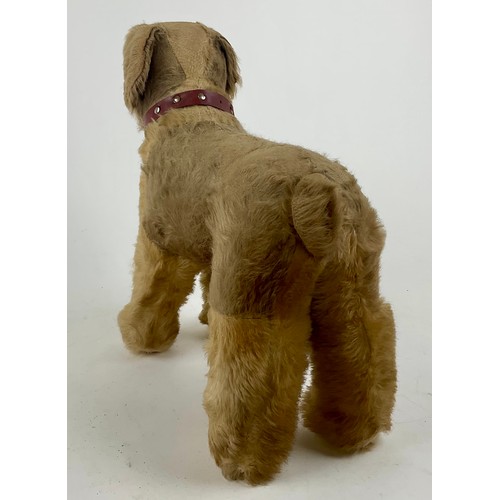 3047 - A large 1950’s freestanding mohair Terrier, dark amber eyes, celluloid nose with stitched mouth, sta... 