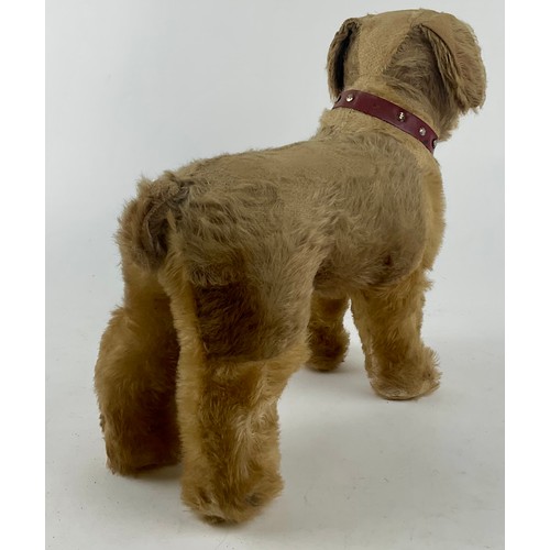 3047 - A large 1950’s freestanding mohair Terrier, dark amber eyes, celluloid nose with stitched mouth, sta... 