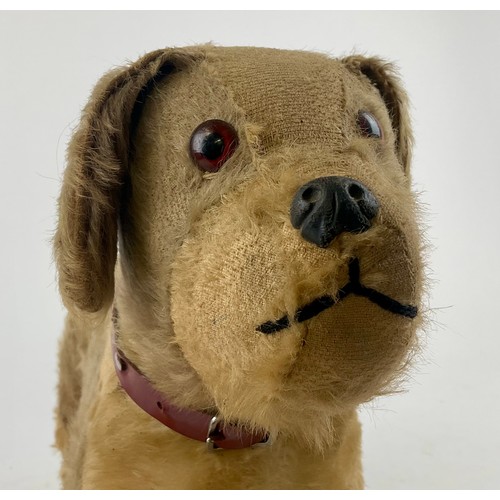 3047 - A large 1950’s freestanding mohair Terrier, dark amber eyes, celluloid nose with stitched mouth, sta... 