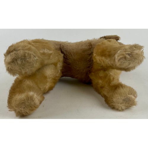 3047 - A large 1950’s freestanding mohair Terrier, dark amber eyes, celluloid nose with stitched mouth, sta... 