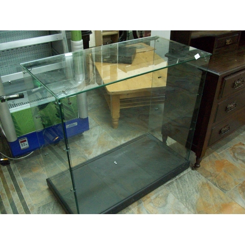 81 - Glass Shop Display 36 inches x 18