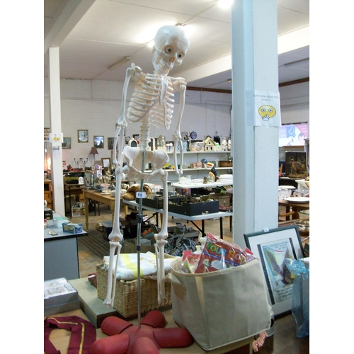 511 - Billy Bones Skeleton 4ft & Accessories