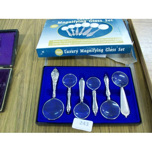 243 - 6 Pce Magnifier Set