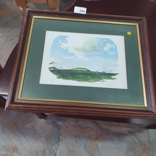 486 - Framed Signed 'Newgrange - Drogheda' Print