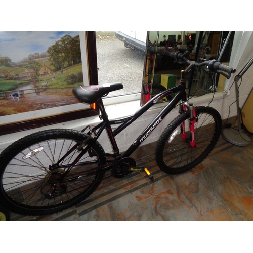 462 - 'Muddyfox' Mountain Bike (gc - needs servicing )