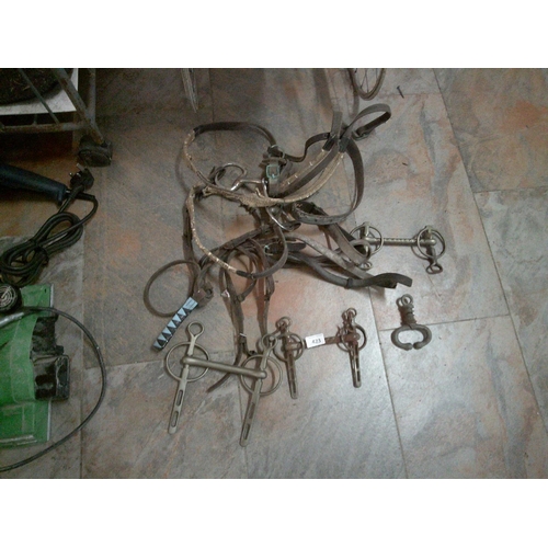 423 - Lot of Old Horse Bits etc..