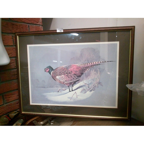 78 - Pheasant Print in Frame (22