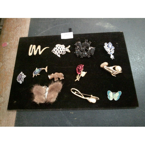 257 - 12 Decorative Brooches