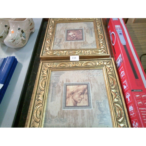 239 - 2 Gilt Framed Prints