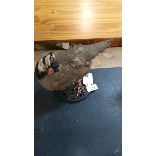 218 - Taxidermy of a partridge mounted on an ornate black circular base.