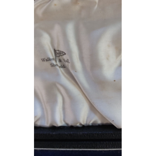 174 - Walker & Hall Sheffield carving set in fitted case. Includes knife, fork, and sharpening steel with ... 