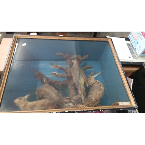Lot 203       