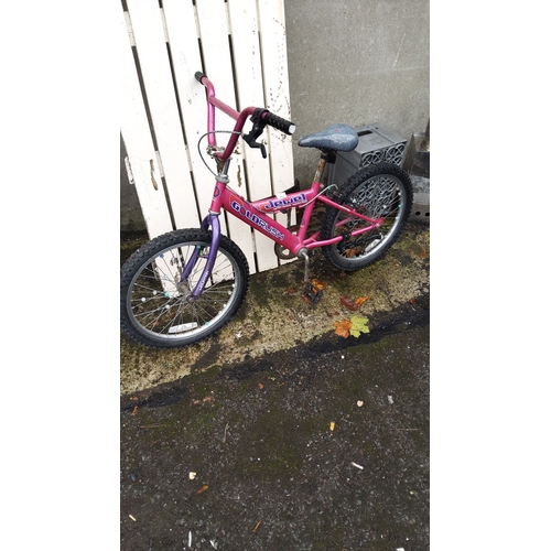 401 - Goldrush jewel girls bike
