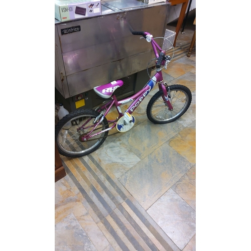 88 - Kids Planet Bicycle (great condition)