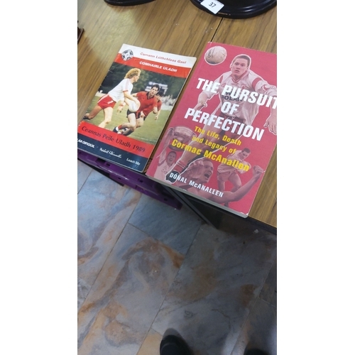 39 - Two GAA-themed books: *The Pursuit of Perfection* by Dónal McAnallen and *Ulster Final Programme 198... 