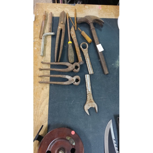 Lot 223       