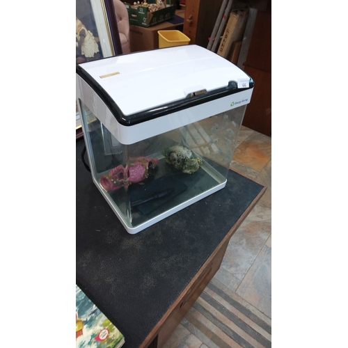 66 - Features a Betta refrigerated fish tank paired with decorative artificial coral.