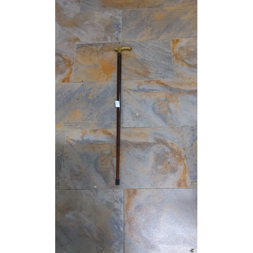 181 - Antique wooden walking cane with a brass handle. It has a sturdy shaft and a rubber tip.