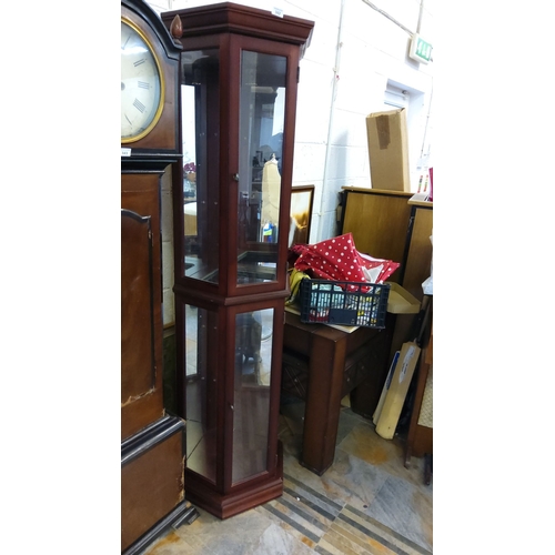 342 - Tall mahogany display cabinet with glass-paneled doors(needs shelves)