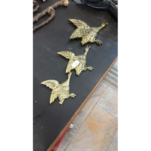 77 - Set of three vintage brass wall-mounted geese ornaments, finely detailed with textured feathers.