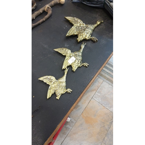 77 - Set of three vintage brass wall-mounted geese ornaments, finely detailed with textured feathers.