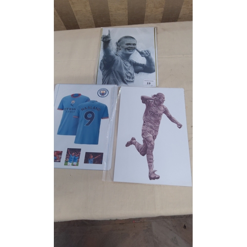 Lot 19        