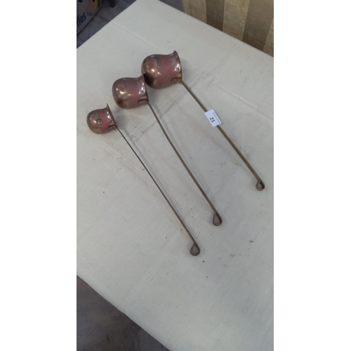 Lot 21        