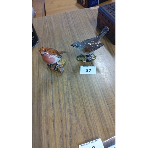 Lot 37        