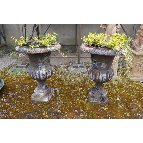 188 - A pair of original early cast iron urns 30