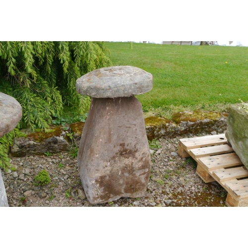 223 - A fine sandstone staddle stone and top 36x19