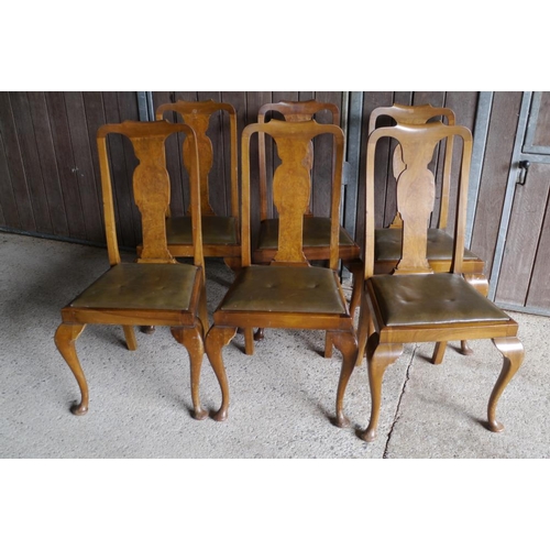 335 - 6 High back Queen Ann style dining chairs