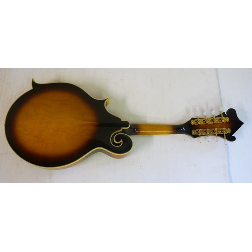 326 - Epiphone MM50 mandolin in case